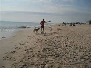 dewey beach sunrise